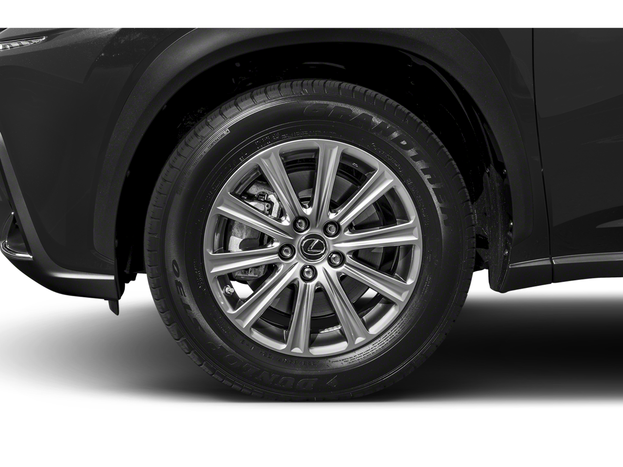 2019 Lexus NX 300 Luxury photo 2